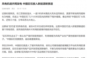 时报：风电机组并网发电 中国利来w66驶入新能源新赛道
